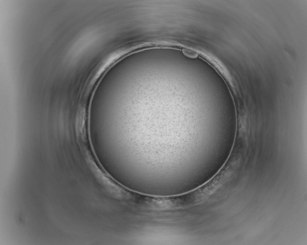 X0000112870911200908281622