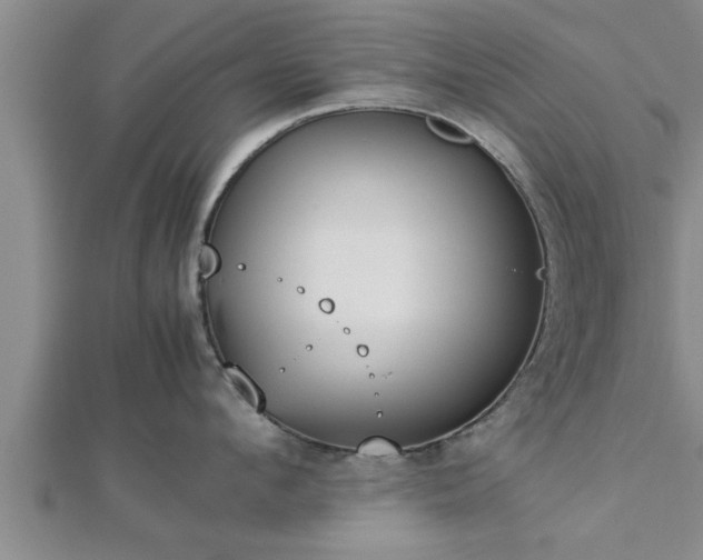 X0000112870912200908281622