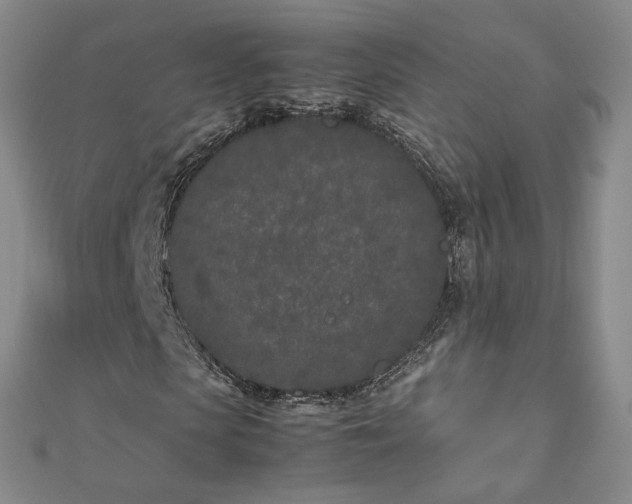 X0000112870913200908281621