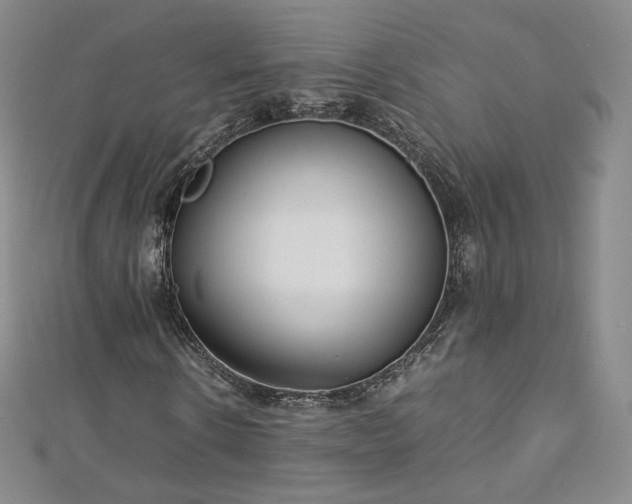 X0000112870914200908281621