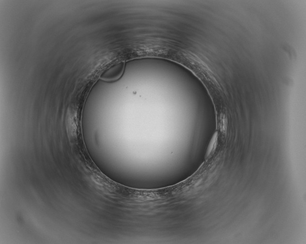 X0000112870915200908281621