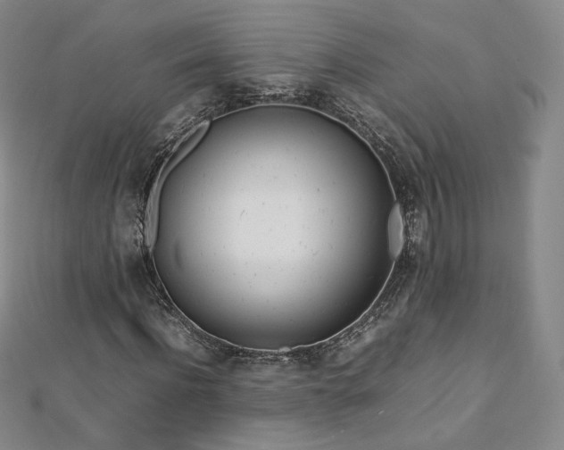 X0000112870916200908281621