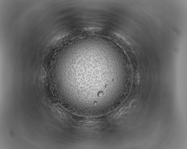 X0000112870917200908281621