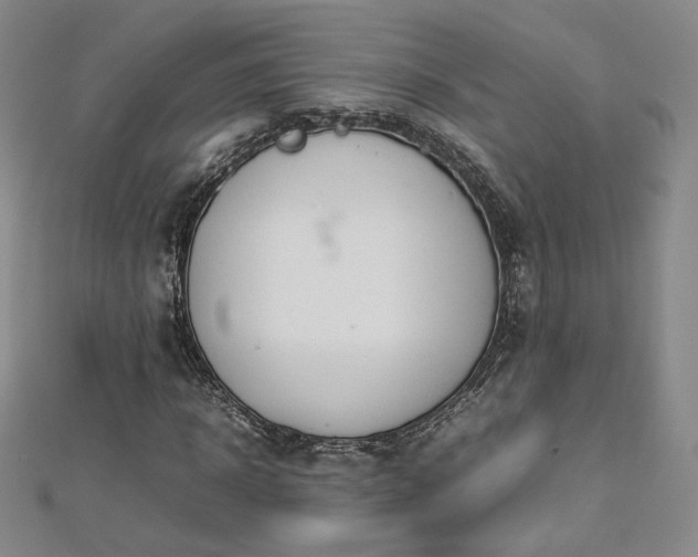 X0000112870918200908281621