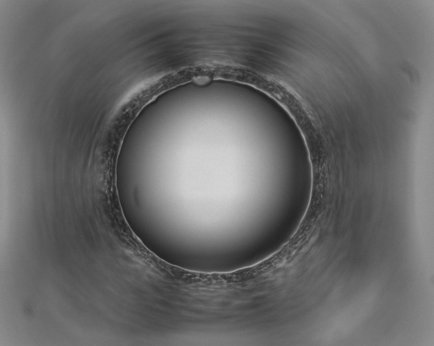 X0000112870919200908281621