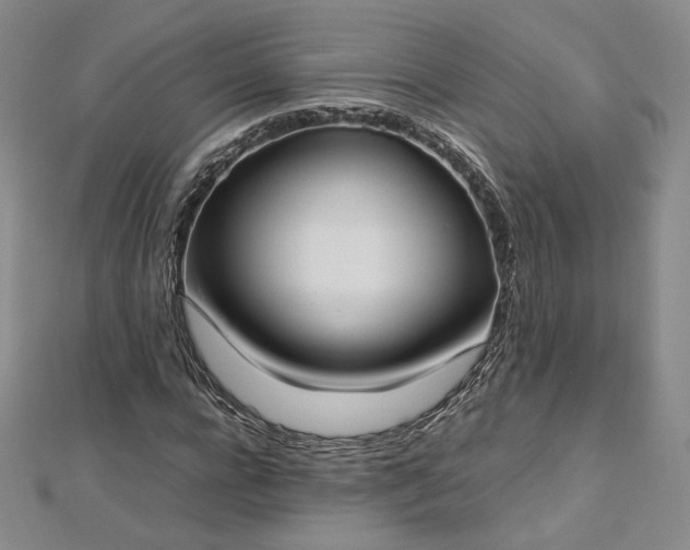 X0000112870920200908281621