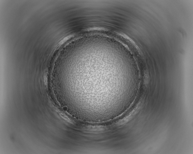 X0000112870921200908281621