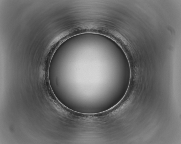 X0000112870922200908281621