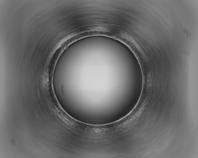 X0000112870923200908281621