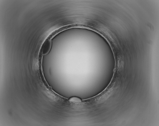 X0000112870924200908281621