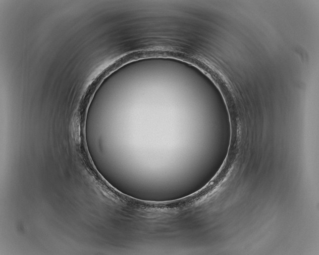 X0000112870925200908281621