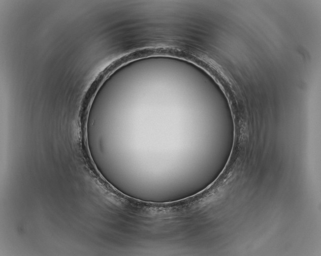 X0000112870927200908281621