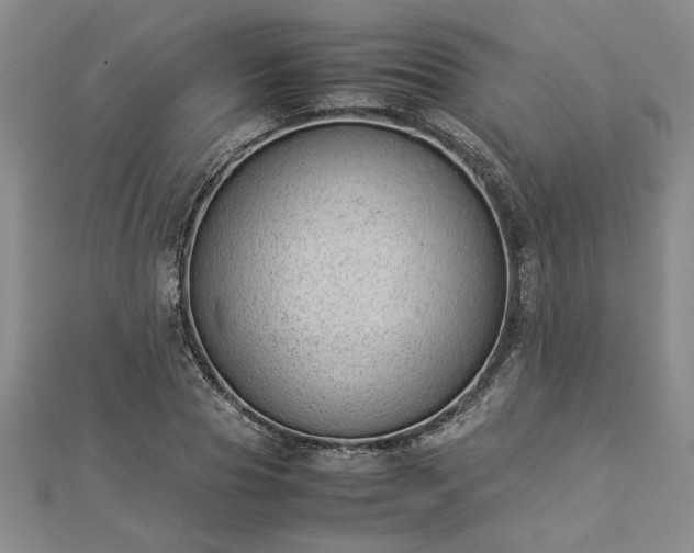 X0000112870929200908281621