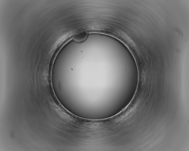 X0000112870930200908281621