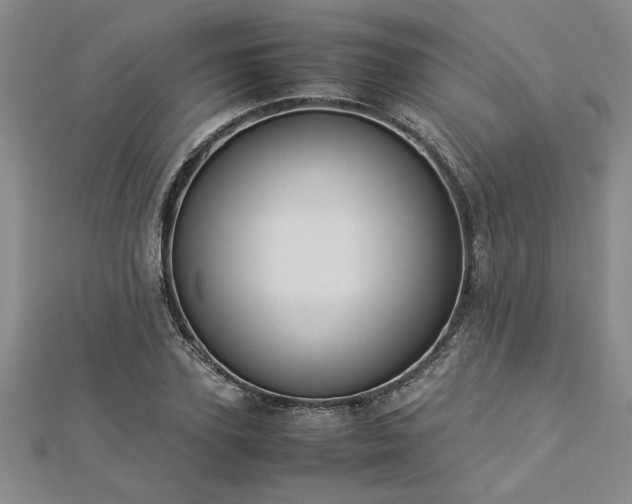 X0000112870931200908281621