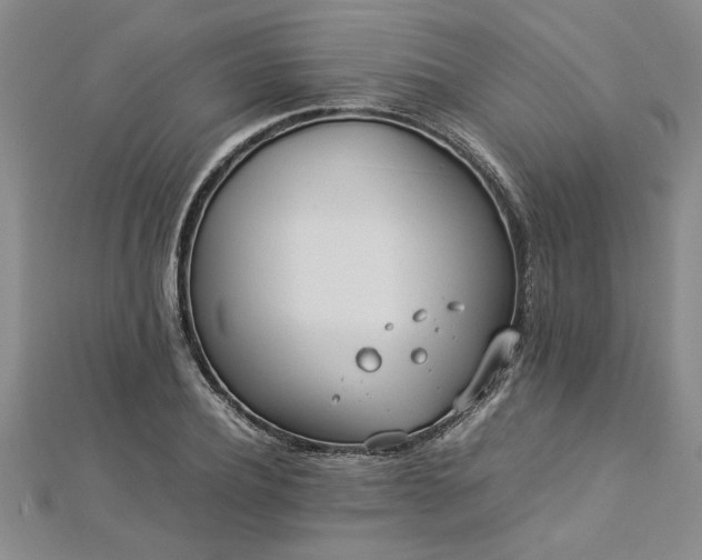 X0000112870932200908281621