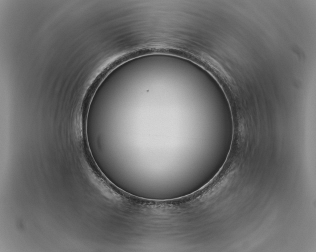 X0000112870934200908281622