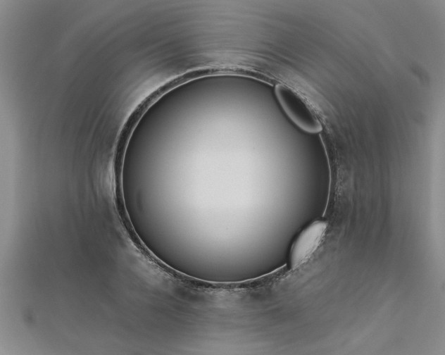 X0000112870936200908281622