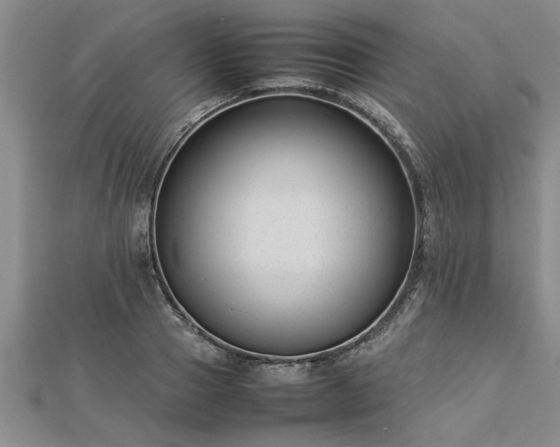 X0000112870937200908281622