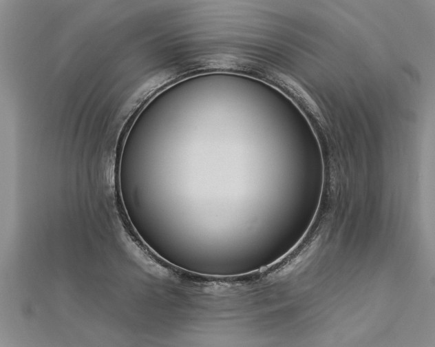 X0000112870938200908281622