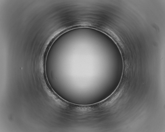 X0000112870939200908281622