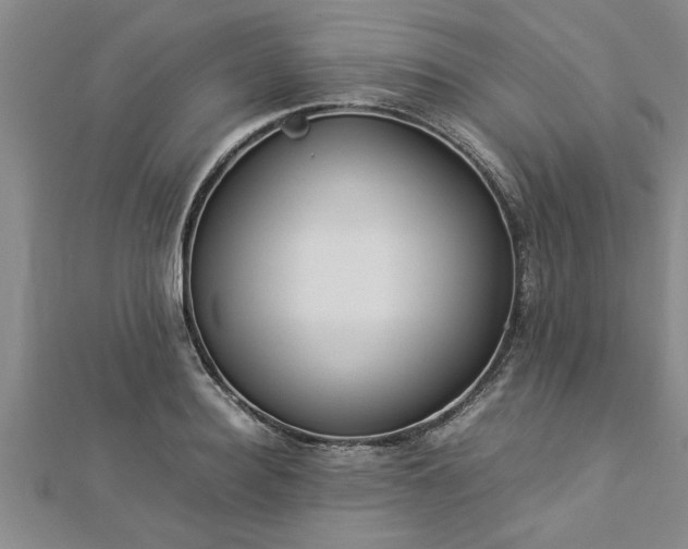 X0000112870940200908281622