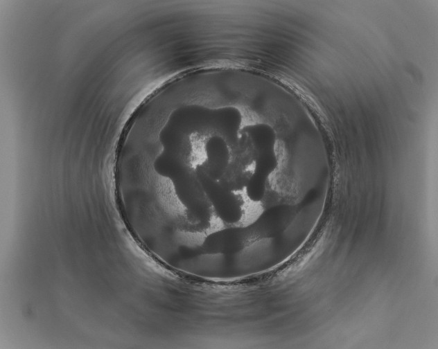 X0000112870941200908281622