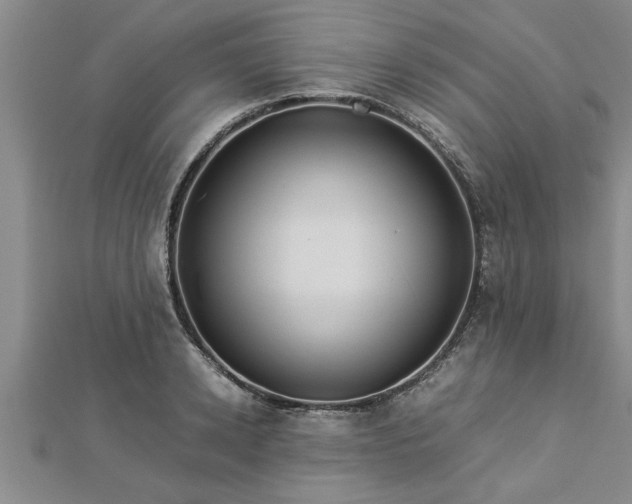 X0000112870942200908281622