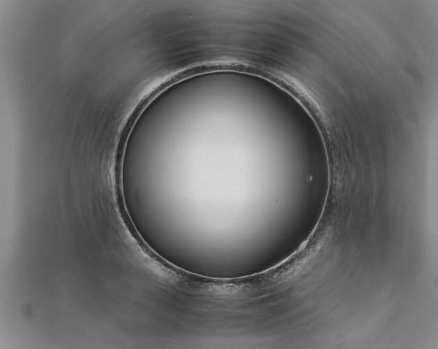 X0000112870943200908281622