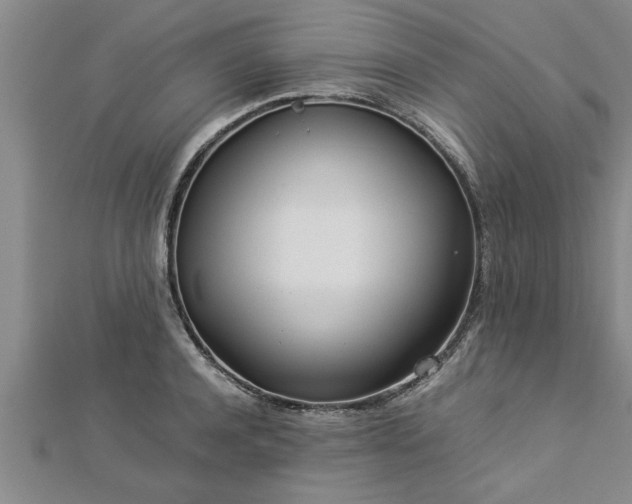 X0000112870944200908281622