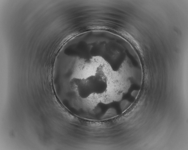 X0000112870945200908281622