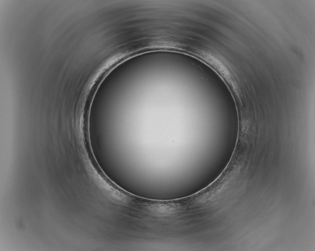 X0000112870947200908281622