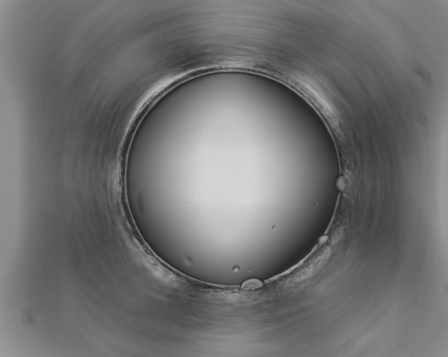 X0000112870948200908281622