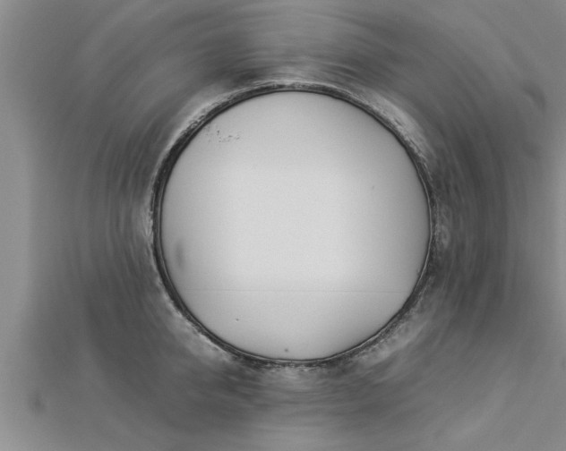 X0000112870950200908281622