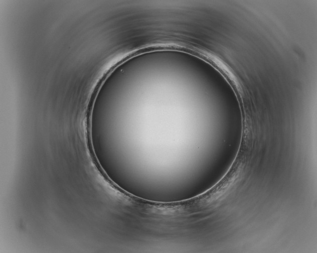 X0000112870951200908281622