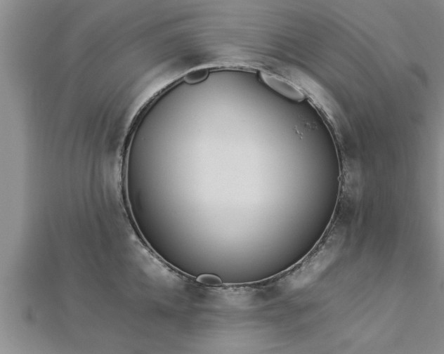 X0000112870952200908281622