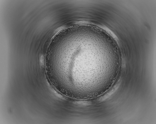 X0000112870953200908281622