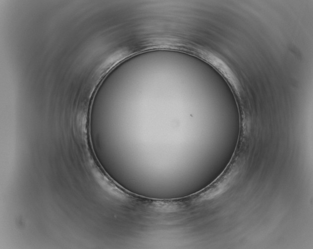 X0000112870954200908281622