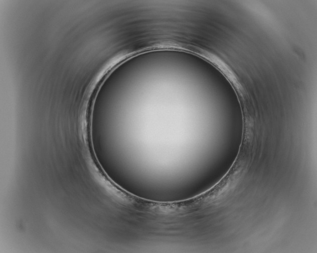 X0000112870955200908281622