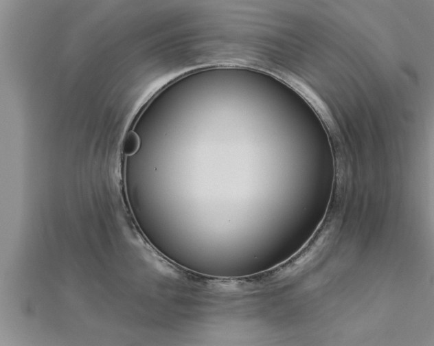 X0000112870956200908281622