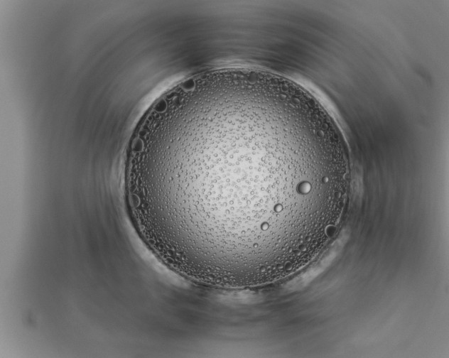 X0000112870957200908281622