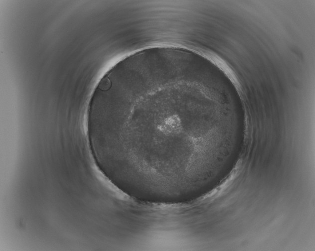 X0000112870958200908281622