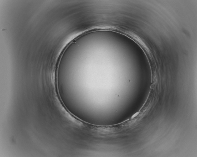 X0000112870959200908281622