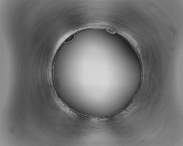 X0000112870960200908281622