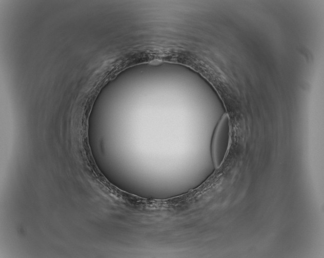 X0000112870961200908281621