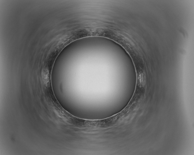 X0000112870963200908281621