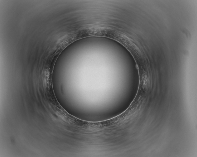 X0000112870964200908281621