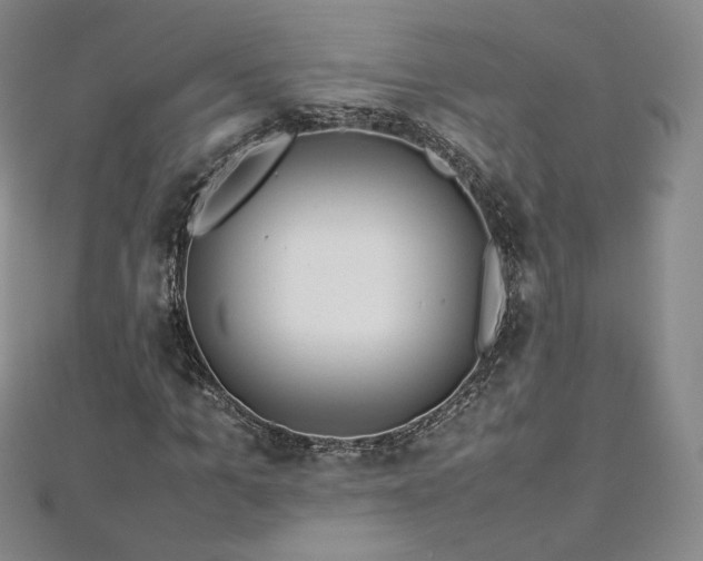 X0000112870965200908281621