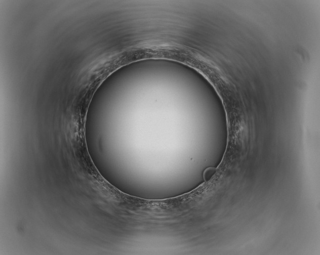 X0000112870966200908281621