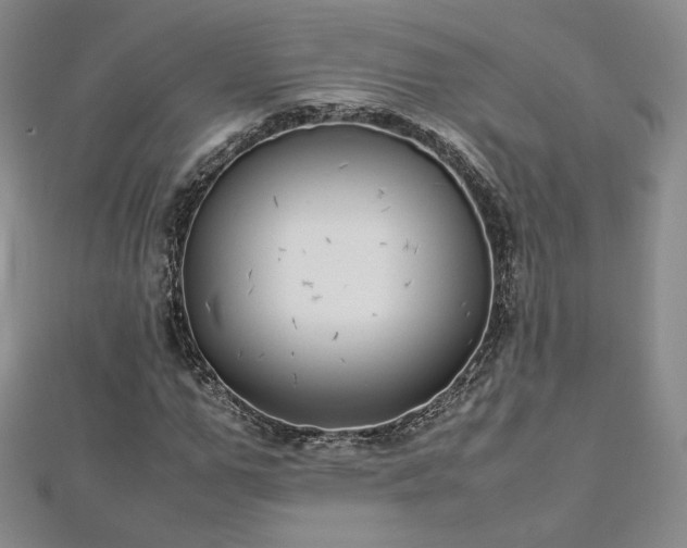 X0000112870967200908281621